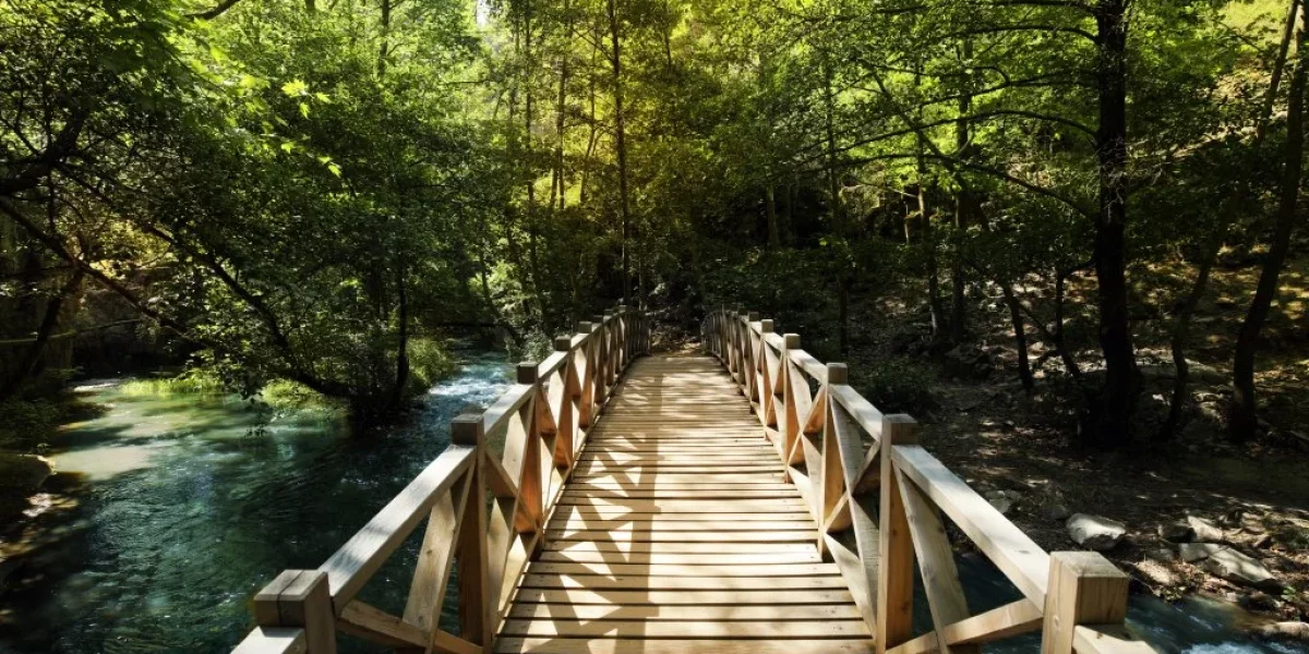 Türkiye'de Tam Ağız Diş Paketleri: Bursa'da Uygun Fiyatlı Lüks Diş Turizmi